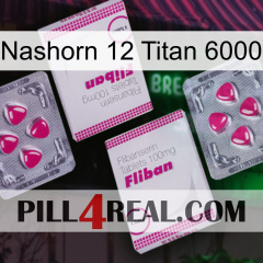 Rhino 12 Titanium 6000 33